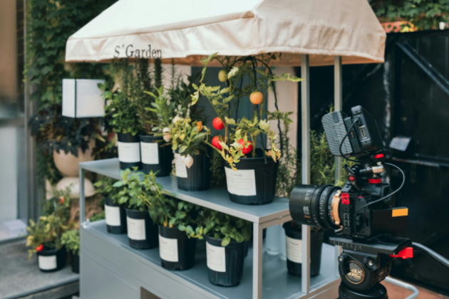 The Magic of Light and Shadow: Exploring the Hidden Potential of Camera Flash