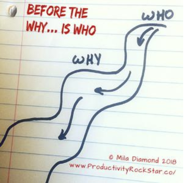 Rational Guide for Big-Ticket Spending