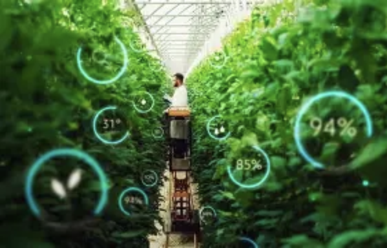 Smart Planet: AI Empowers Industries