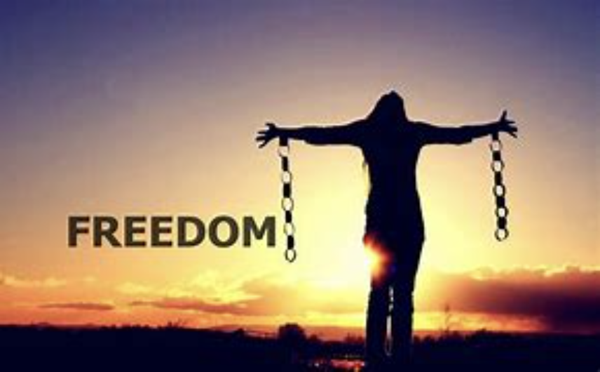 Wealth Freedom: Counterintuitive by Nature