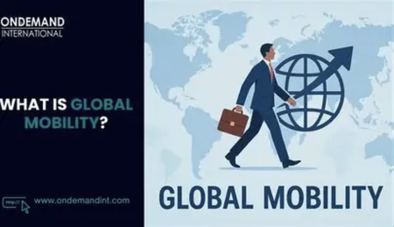 Office-Free Work: The Elite’s New Freedom